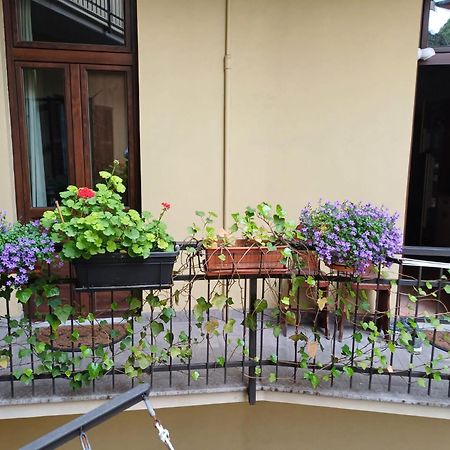 La Terrazzina, Silenzioso, Zona Piazza Gran Madre Apartment Turin Bagian luar foto