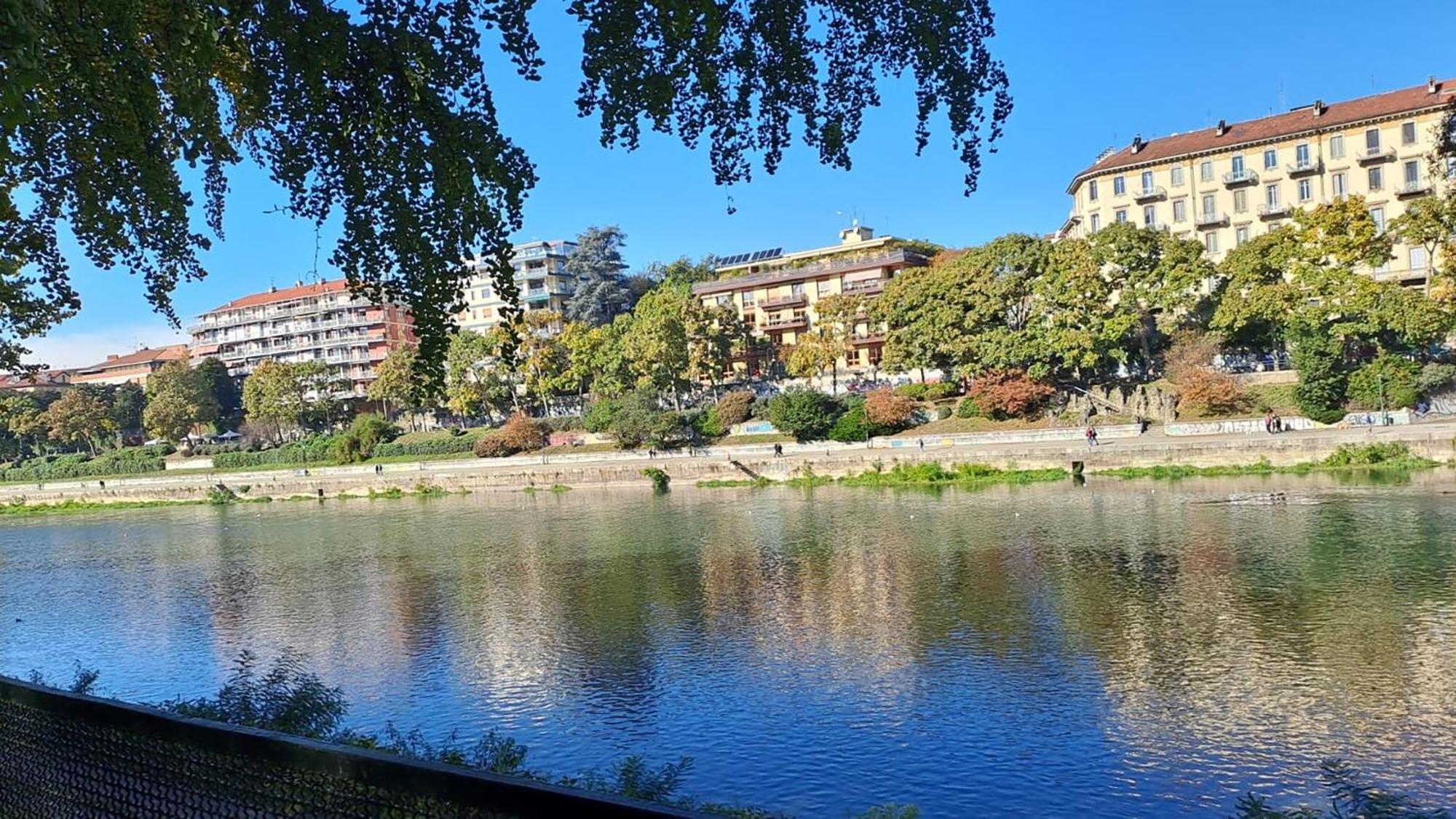 La Terrazzina, Silenzioso, Zona Piazza Gran Madre Apartment Turin Bagian luar foto