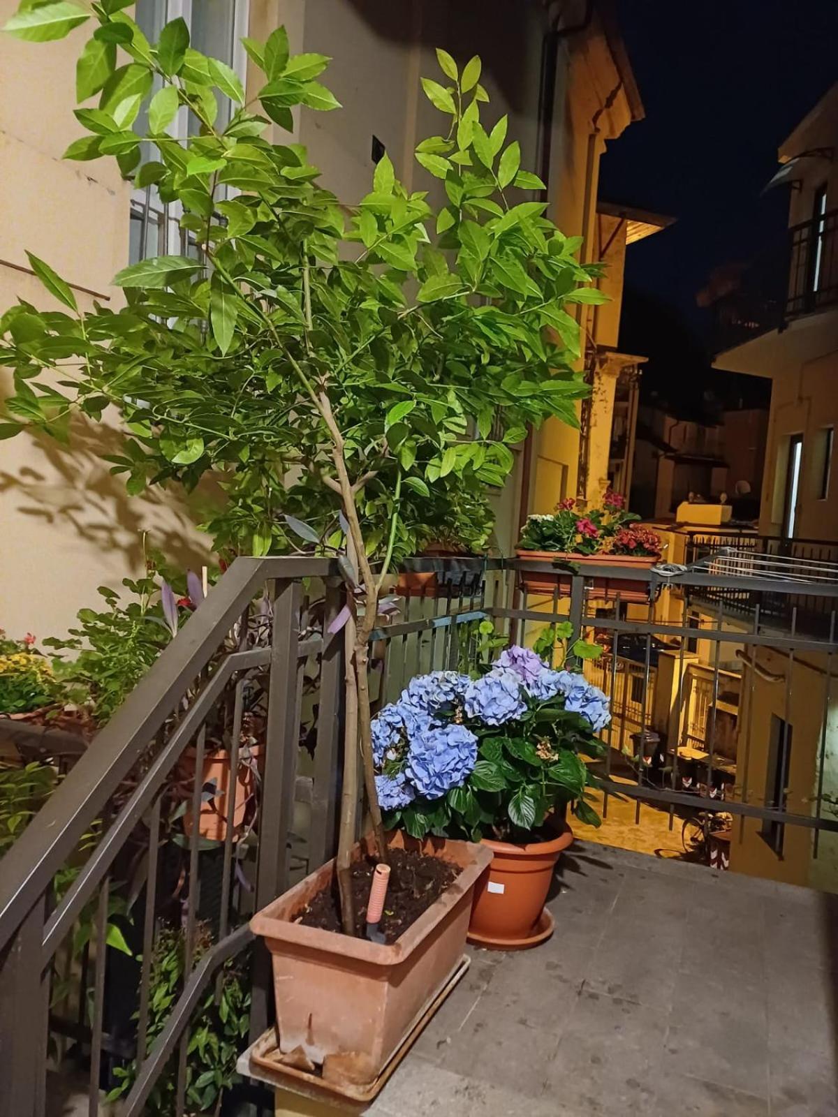 La Terrazzina, Silenzioso, Zona Piazza Gran Madre Apartment Turin Bagian luar foto